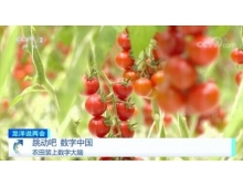兩會關注數字農業，構建鄉村振興的數字藍海